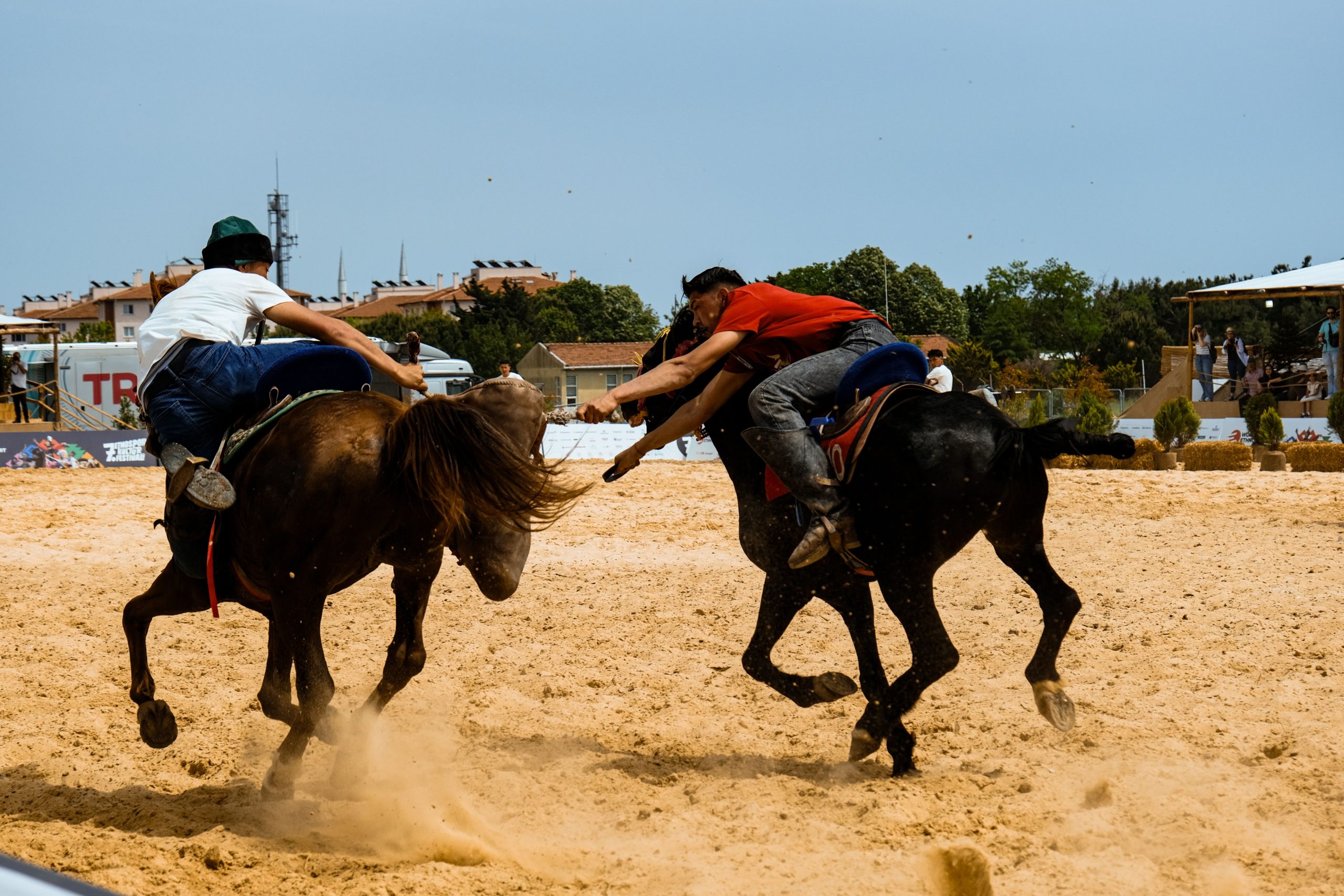 Concours équestre intense en arène extérieure